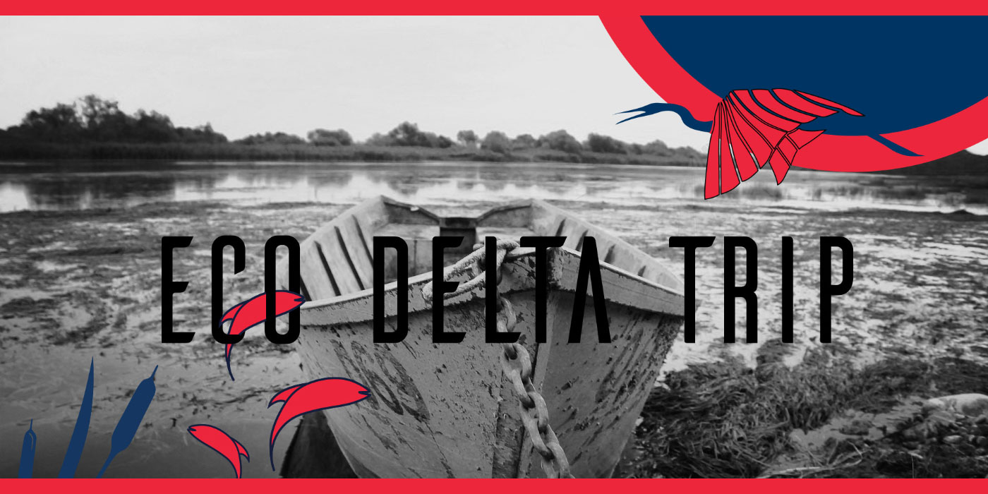 Tourism Branding