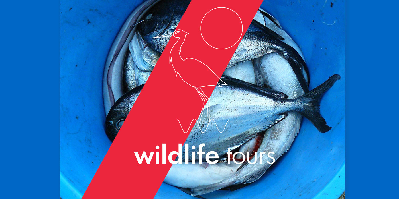 Tourism Branding