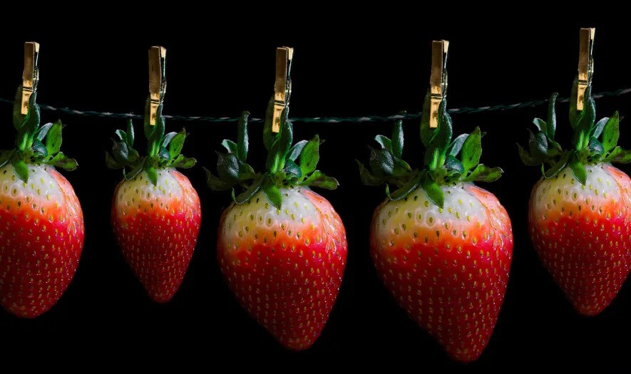 Recipes on dry fruits packaging