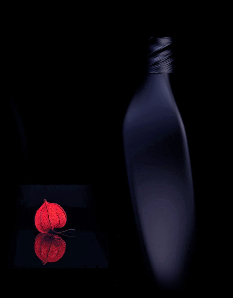 Packaging Design Agency & Branding Studio